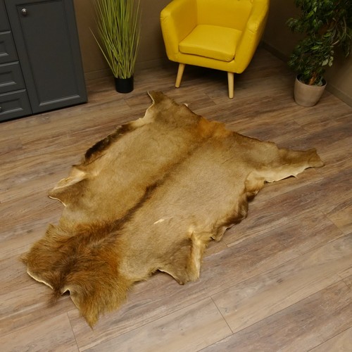 Roe deer skin - deer, decor