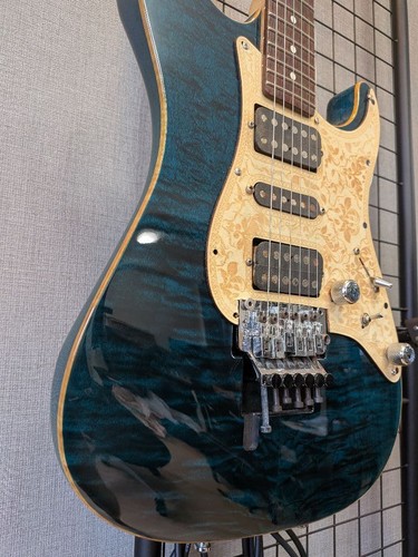 Schecter 22 - schecter,