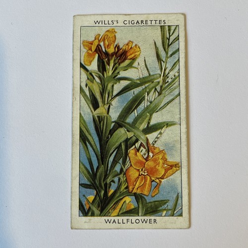 Will cigarette cards wild - cards.,