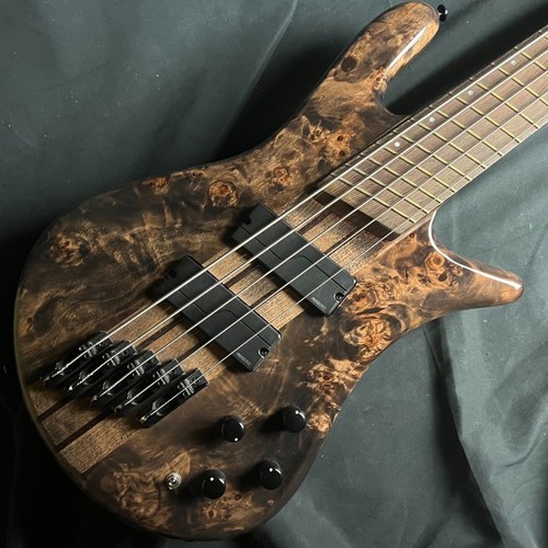 Spector dimension 5 - dimension,