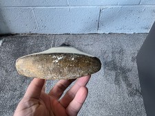 Cricket Bat SH. Authentic GM