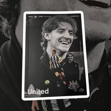 Newcastle united sunderland - united, v