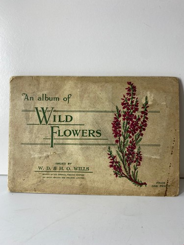 Vintage album wild - vintage,