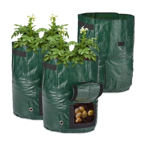 Large potato grow - 🔥6x,