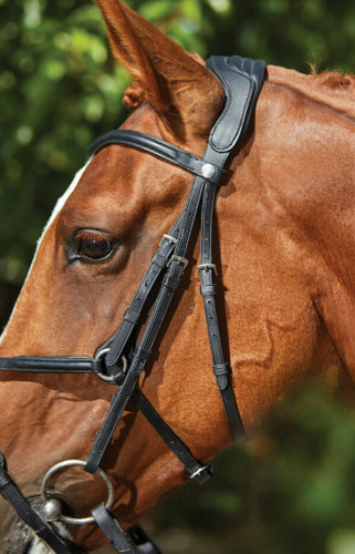 Collegiate comfitec grackle - collegiate,