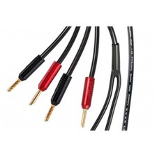 Atlas Hyper Achromatic Speaker