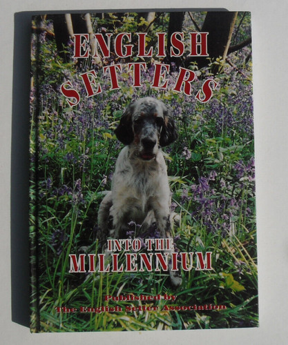 English setters into - english,