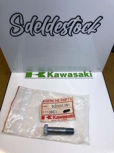 Bolt 10x41 crown - bolt,