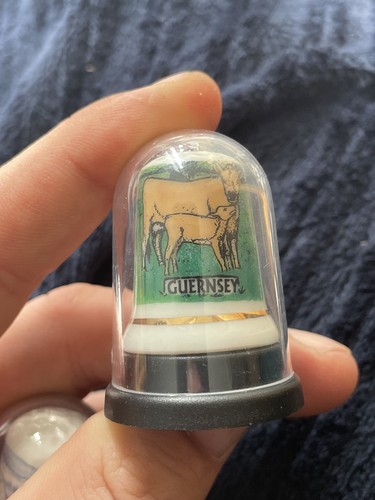 Vintage guernsey cow - vintage,