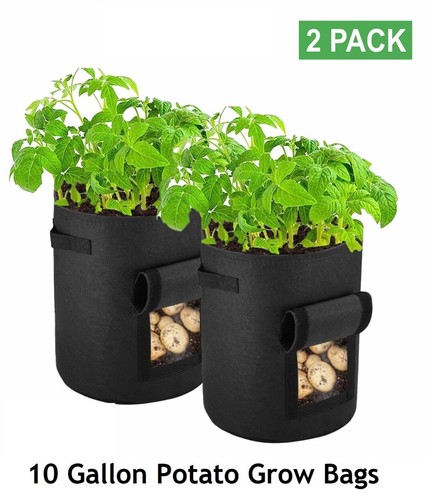 2pack gallon potato grow - 2pack-10,