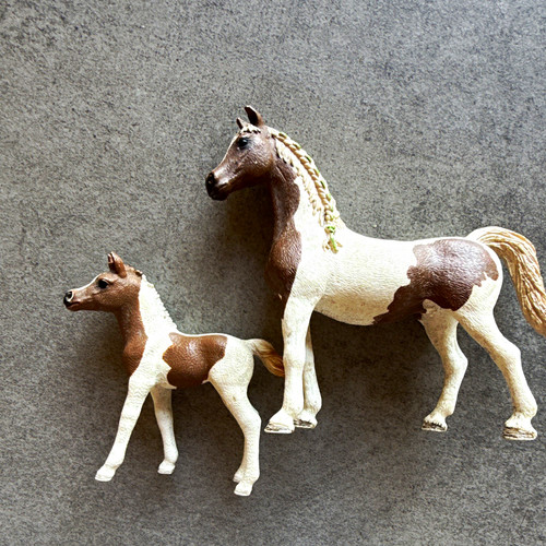 Brown white paint horse mare - brown, &