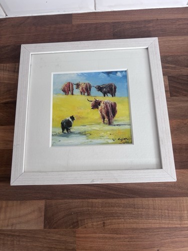 Vega highland cow sheepdog - v,