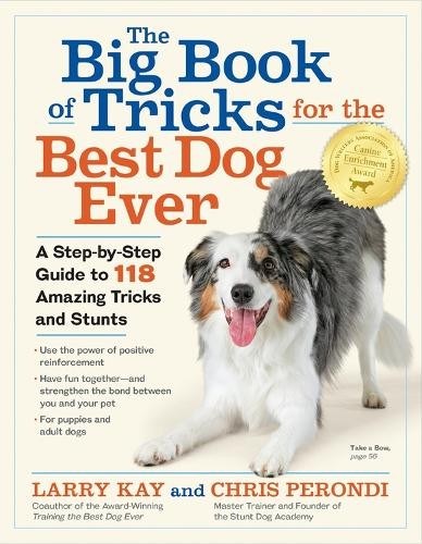 The big book tricks - of,
