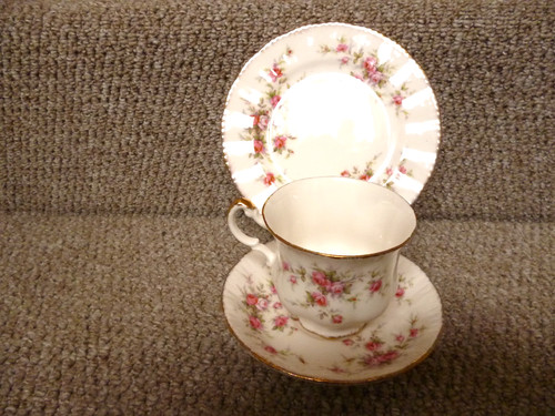 Paragon victoriana rose - x,
