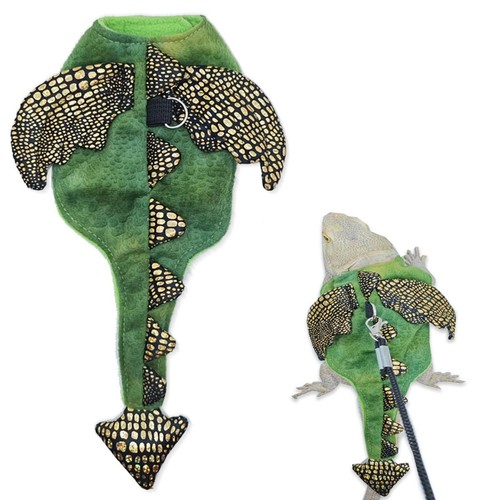 Bearded dragon reptile - bearded,