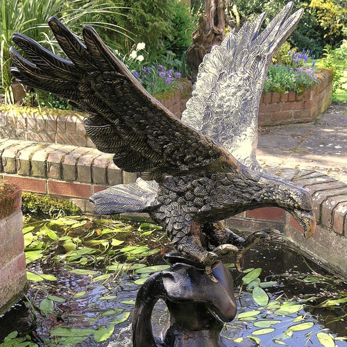 Golden eagle wave bronze - wave,
