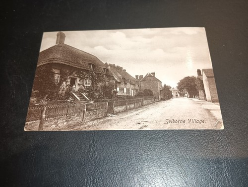 Street scene selborne - street, scene,