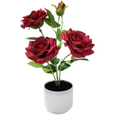 Realistic 3 Rose Set in Black