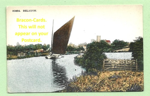 Norfolk colored - (k603),