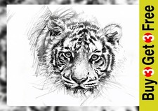 Tiger Portrait 5"x7" Print on Matte Paper | Powerful Wildlife Pencil Art