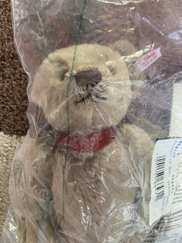 Steiff bear the year - the,