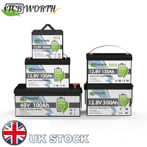 12v 24v 36v 48v 100ah - 24v,