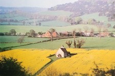 Vintage Postcard Unused St