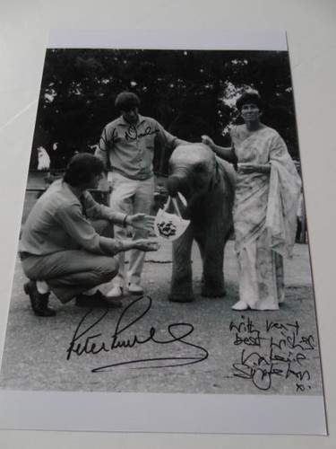 Blue peter valerie singleton - blue,