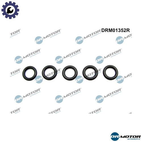 Seal ring oil - drain, plug