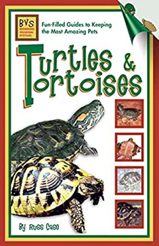 Turtles and tortoises - turtles,