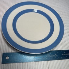 TG GREEN Vintage Blue & White