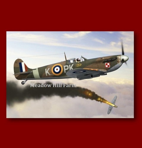 Fridge magnet raf spitfire ww2 - fridge,