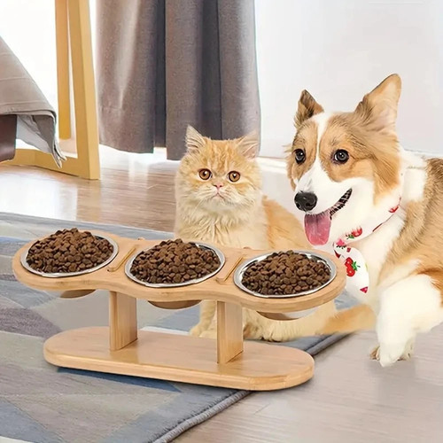 Cat dog food feeding - cat,
