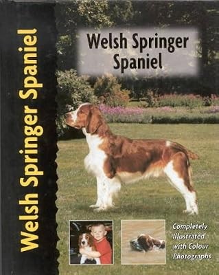 Welsh springer spaniel - welsh, (pet