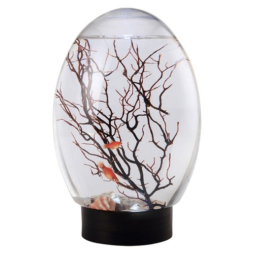 Aquarium mini fish tank - aquarium,