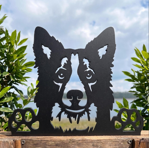Border collie fence topper - collie,