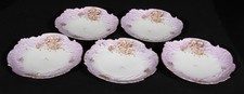 Bavarian China Plates (5) Hand