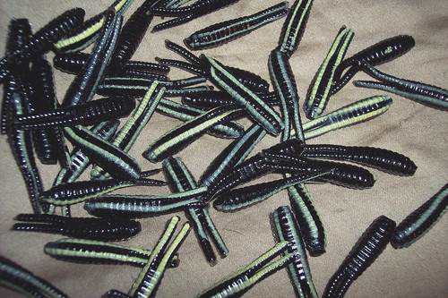 Beetle spinner bait - beetle,