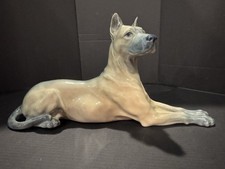Great dane boar - great, royal