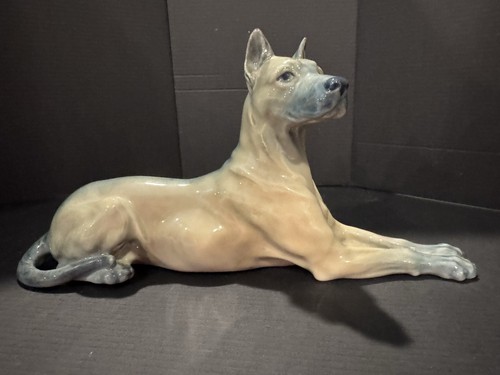 Great dane boar - dane, royal