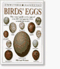 Birds eggs - eggs, (dk