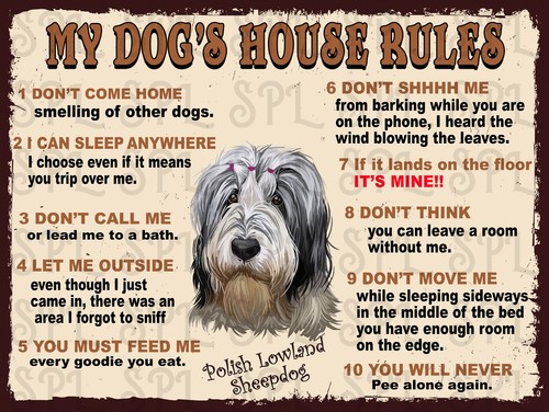 Dog house rules polish - house,