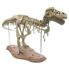 Large Diy Dinosaur Skeleton Toy T-rex Model Assembled Fossilized Dinosaur