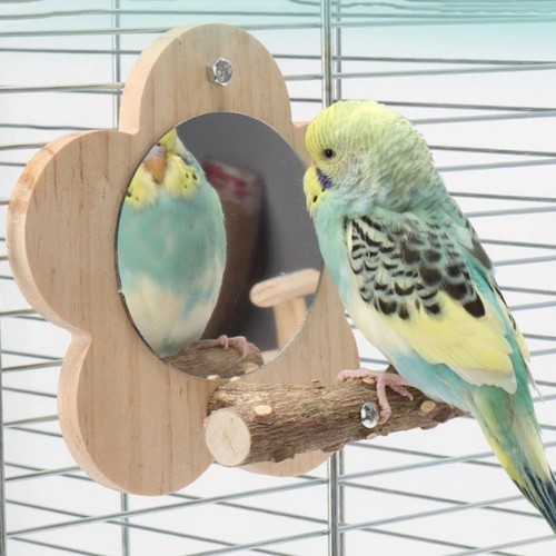 Bite resistant bird mirror - resistant,