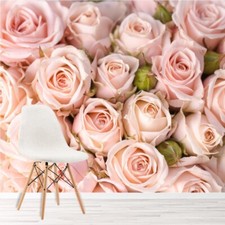 Pink Rose Flowers Wall Mural Wallpaper WS-42367