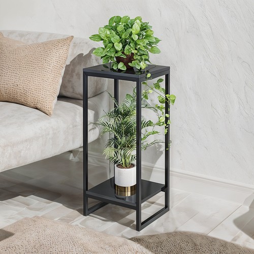 2ft 3ft tall - tall, plant