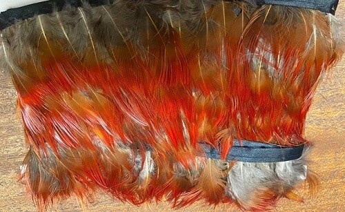 Golden pheasant red flank - golden,