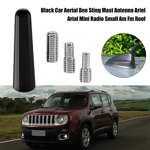 Car aerial bee sting mast - car,