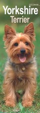 Yorkshire Terrier Slim Calendar 2026