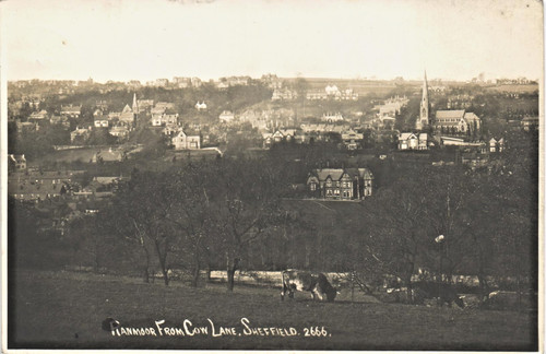 Sheffield ranmoor from cow - sheffield.,
